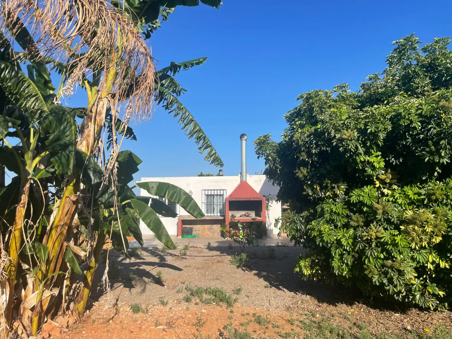 Vista exterior de Casa o xalet en venda en Betxí amb Jardí privat, Terrassa i Piscina