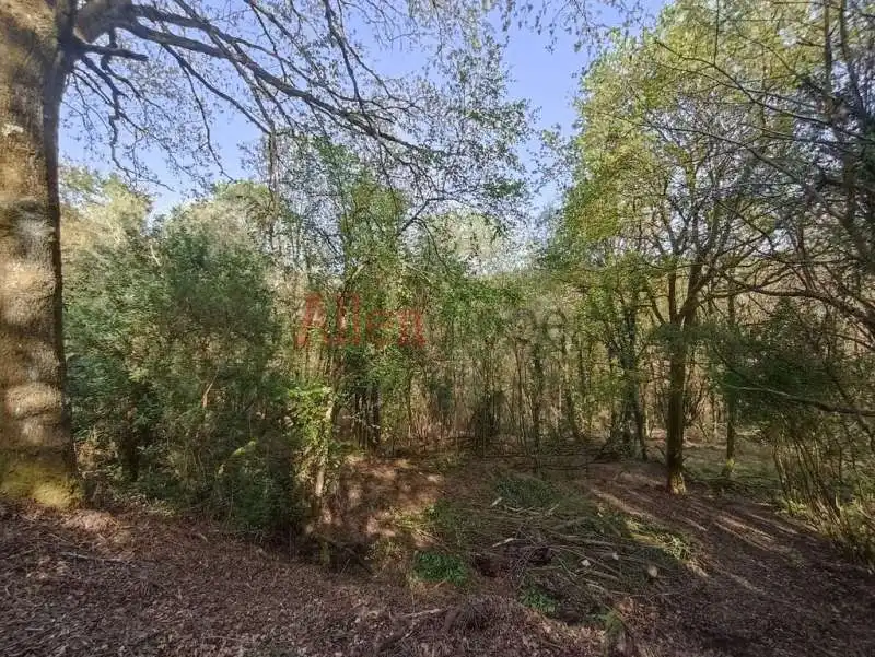 Casa o xalet en venda en Siero