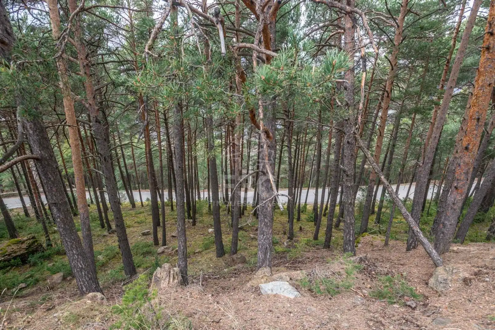 Terreno en venta en Aubinyà - Juberri