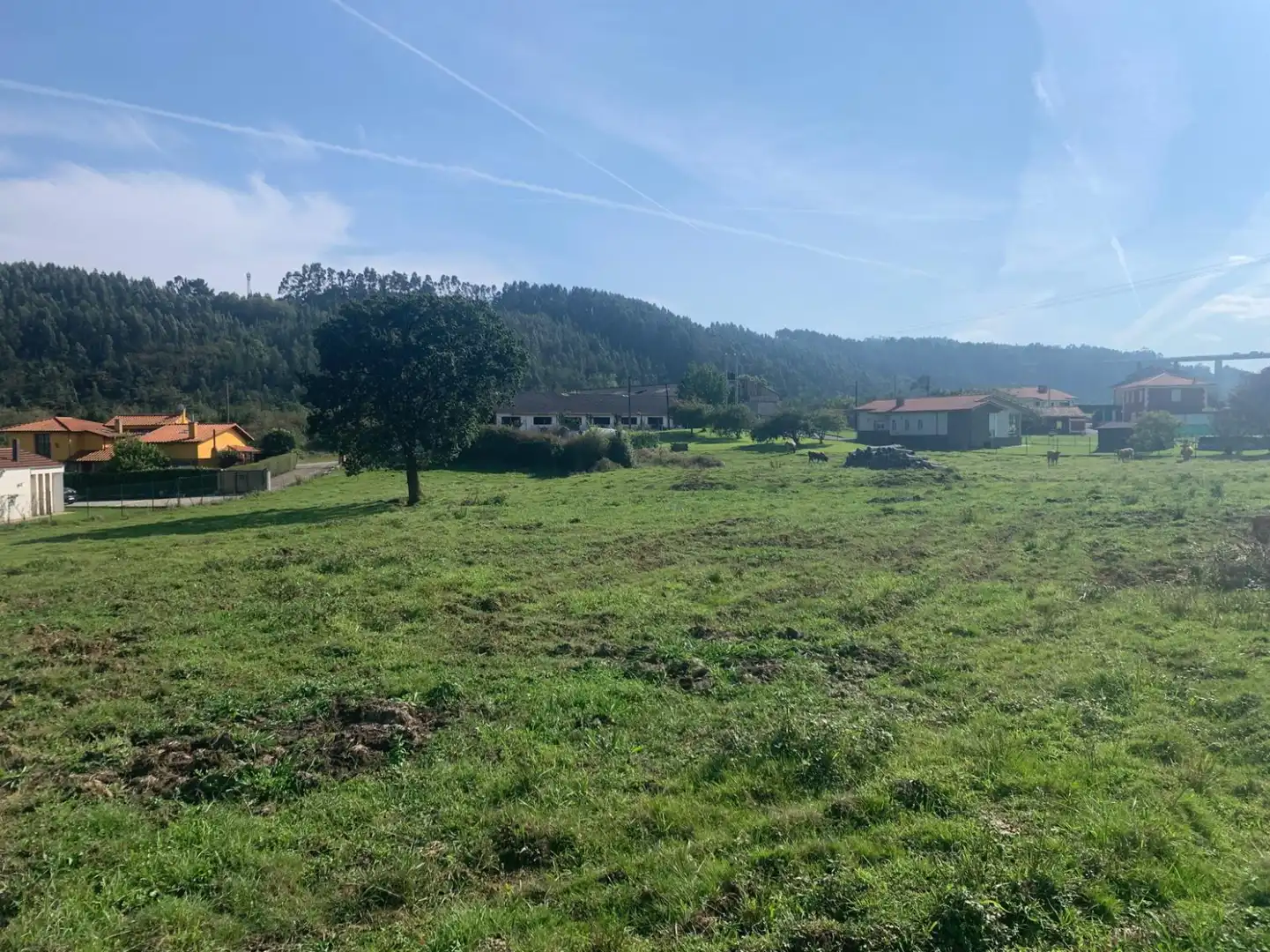 Lands and plots for sale in santiago del monte, imagen 4