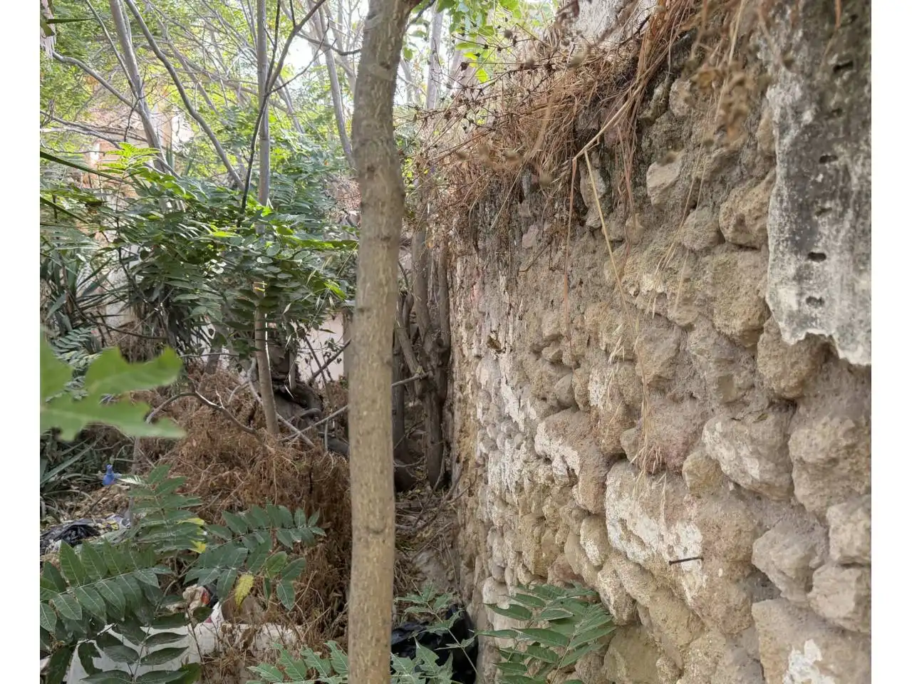 Wohnbaugrundstück zum Verkauf in Calle Labrador, imagen 5
