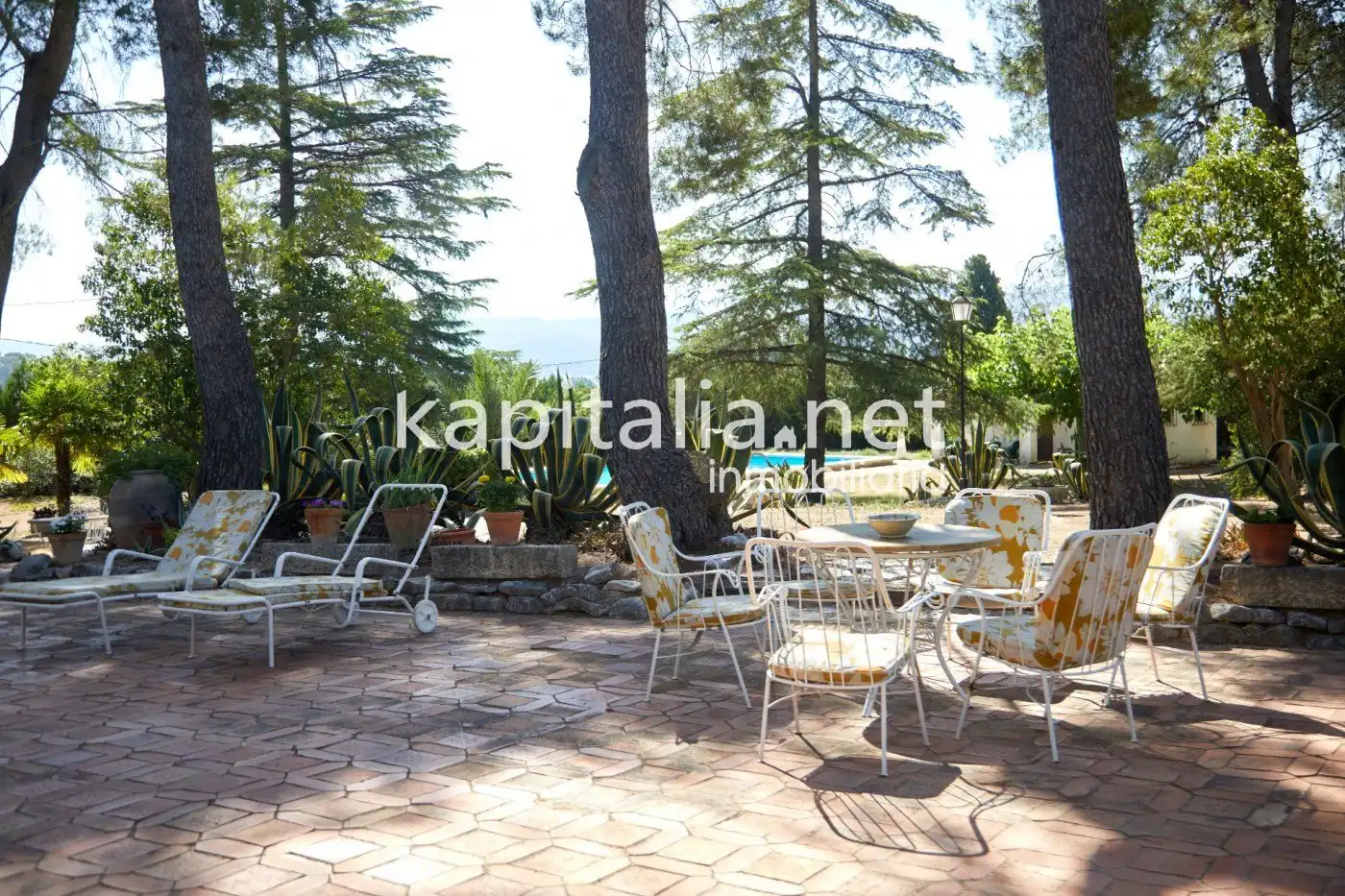 Chalet en venta en El Pilar, imagen 13