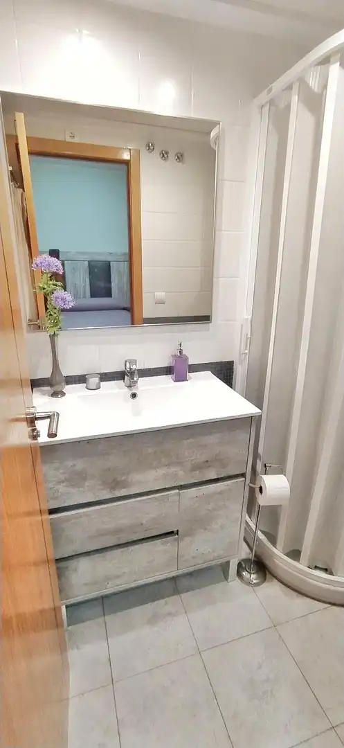 Mini appartamento con piscina in affitto a PINTOR SOROLLA 8, imagen 13
