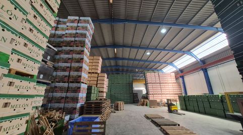 Photo 3 of Commercial properties for rent in Paraje Cueva del Gato, 4, Balerma, El Ejido