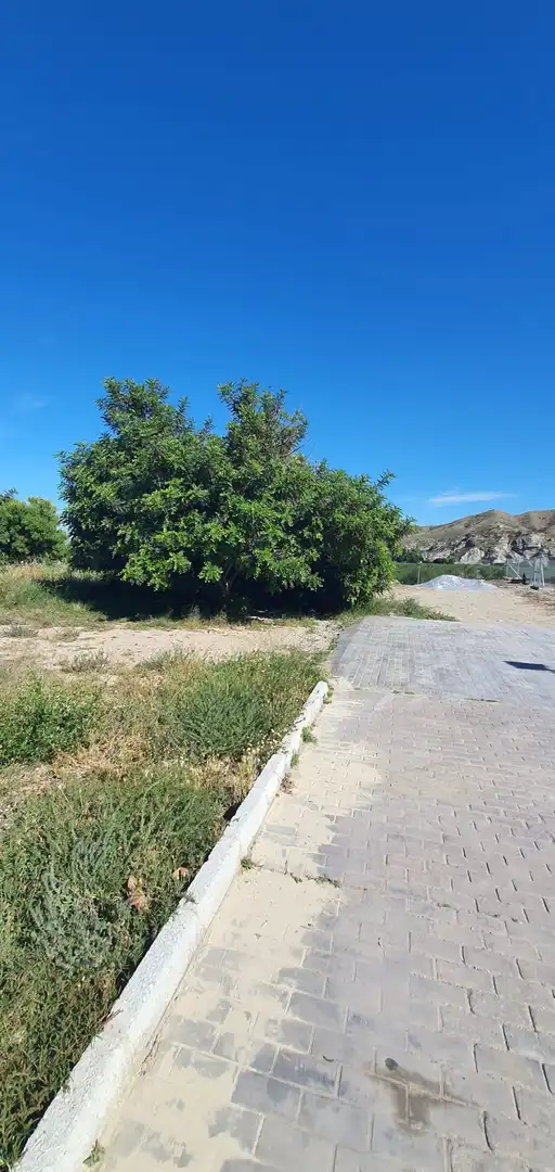 Terrenys i solars en venda a Cantoria, imagen 6