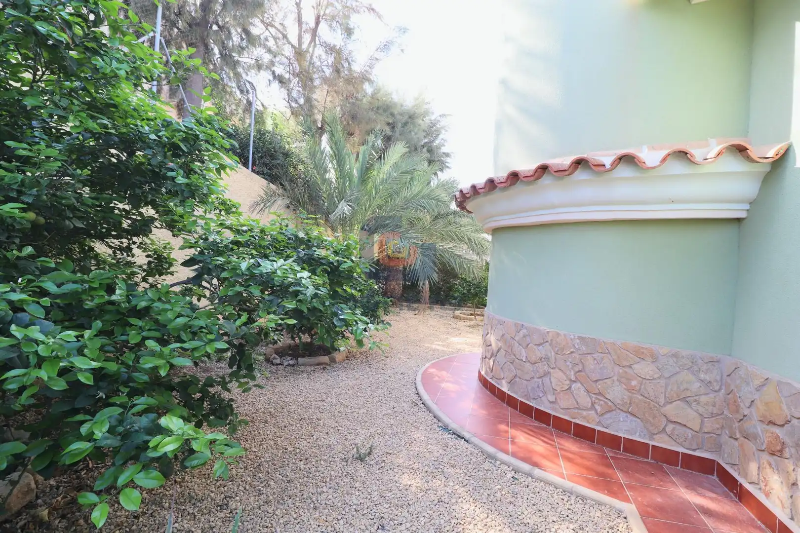 Jardí de Casa o xalet en venda en San Vicente del Raspeig / Sant Vicent del Raspeig amb Aire condicionat, Calefacció i Jardí privat