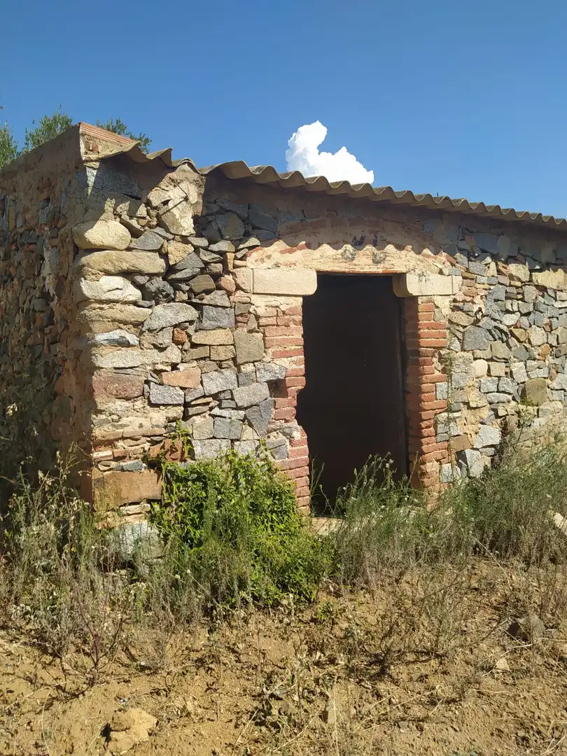 Terreny rústic en venda a Montbrió del Camp, imagen 2