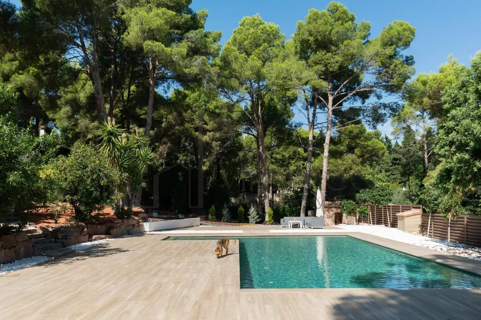 Swimming pool of Houses for sale in Náquera  with Private garden, Swimming Pool and Alarm
