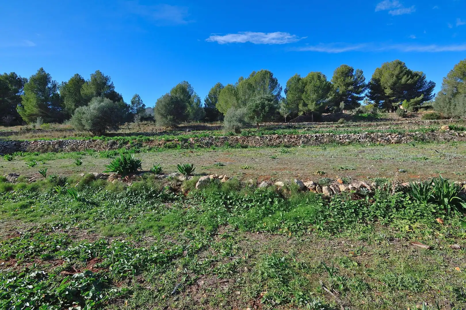 Casa rústica en venda a Benissa pueblo, imagen 5