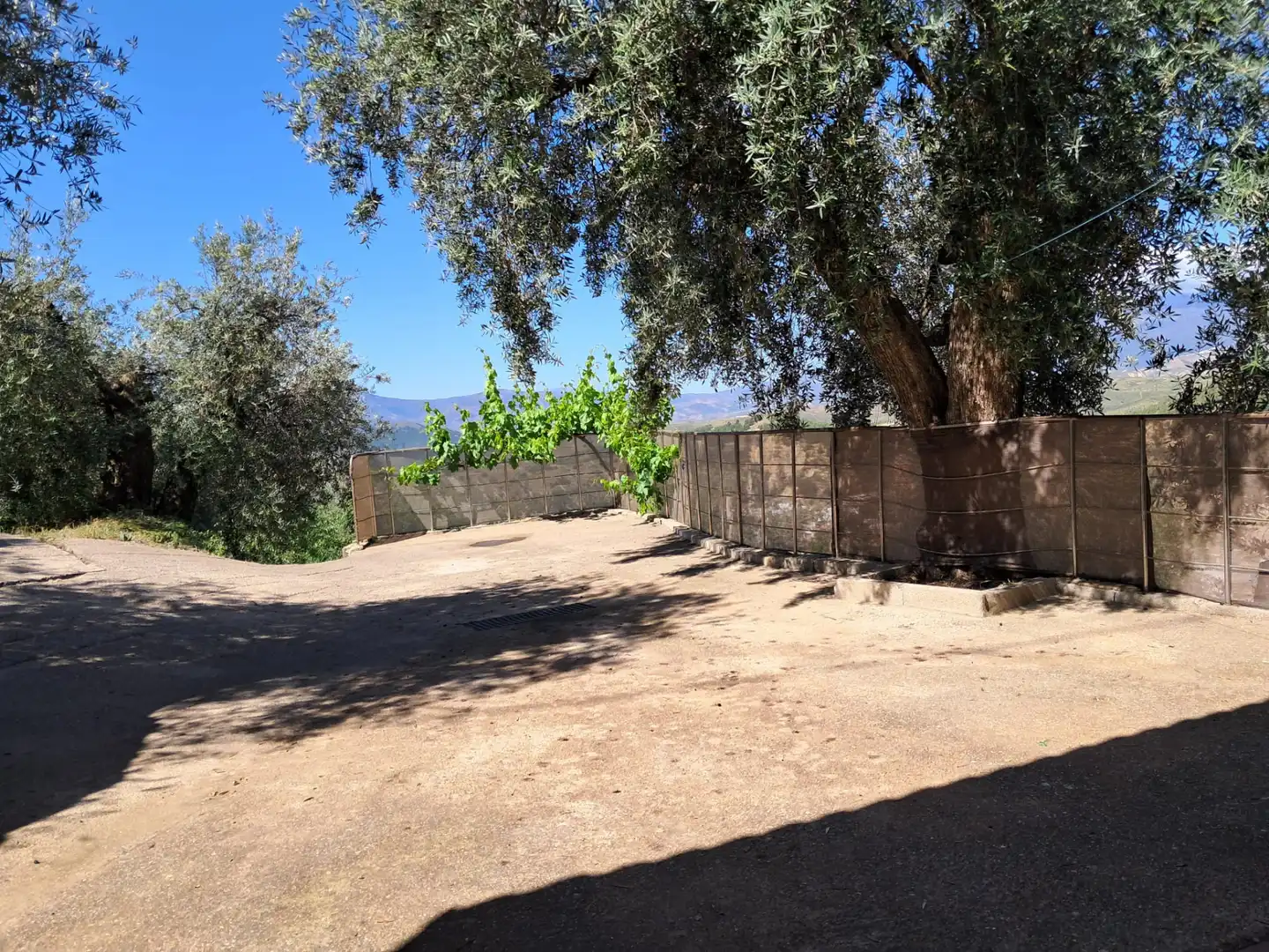 Finca rústica en venda en Alcolea amb Aire condicionat, Jardí privat i Piscina
