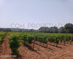 House or chalet for sale in Costitx