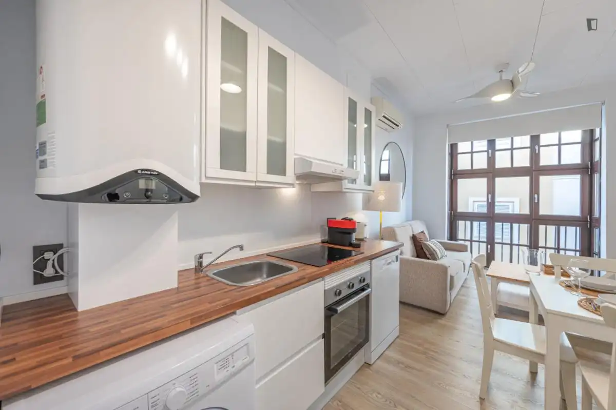 Cuina de Apartament de lloguer en Málaga amb Aire condicionat, Moblat i Forn