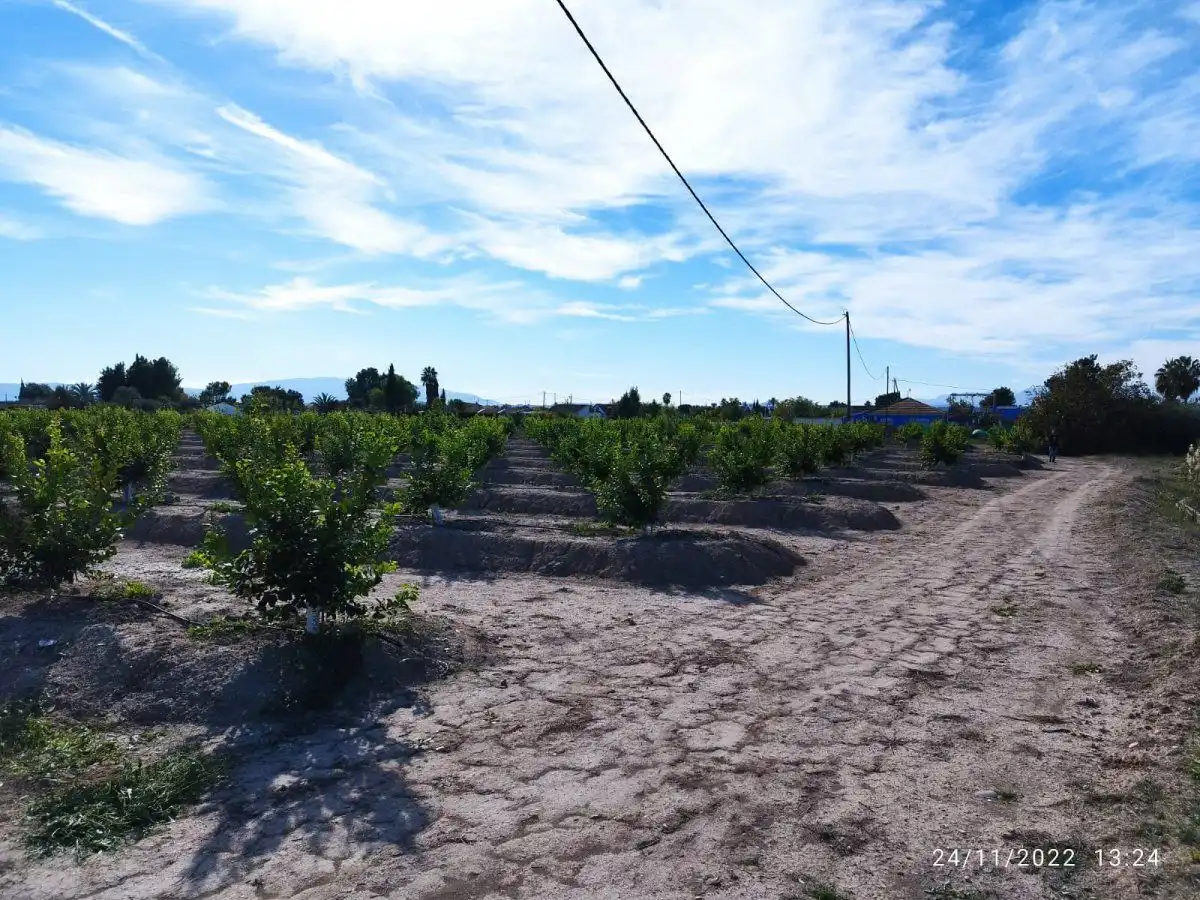 Terreny residencial en venda a El Llano, imagen 16
