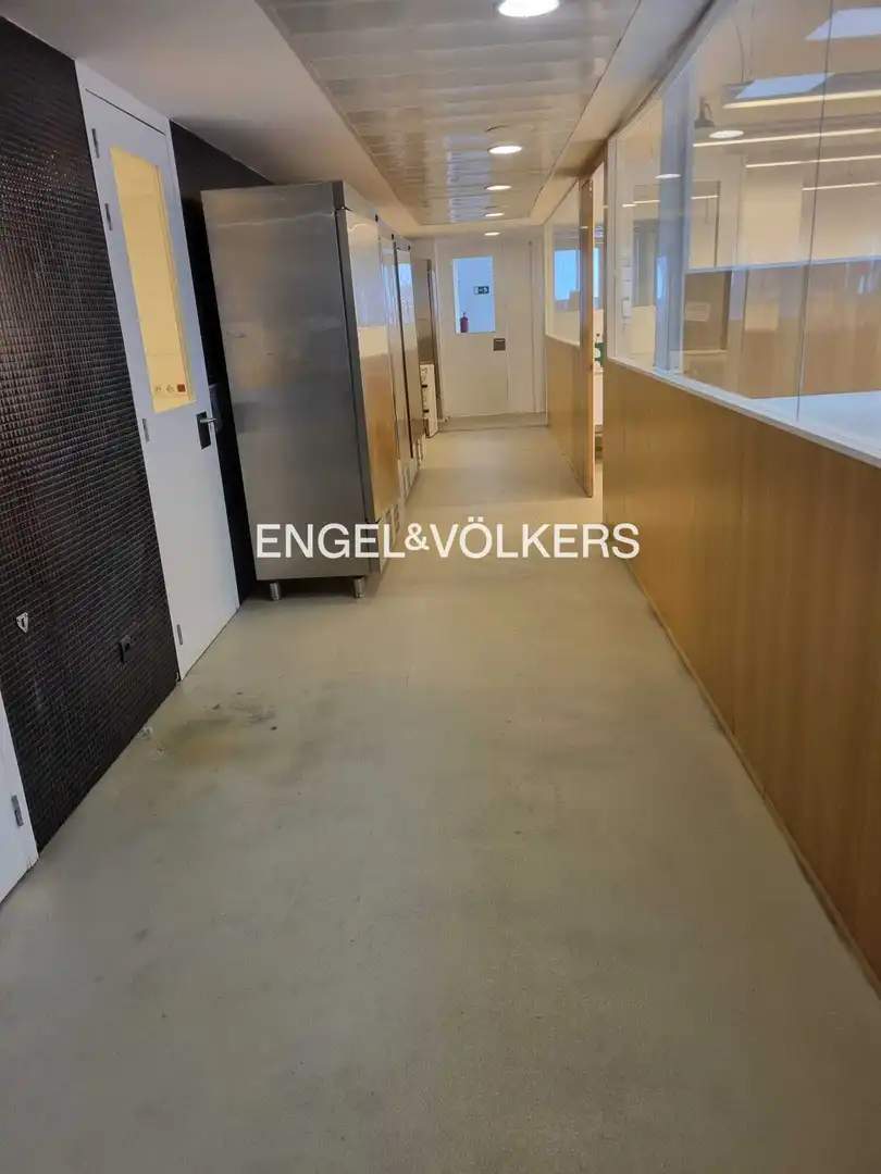 Oficina de alquiler en L'Hospitalet de Llobregat con Terraza