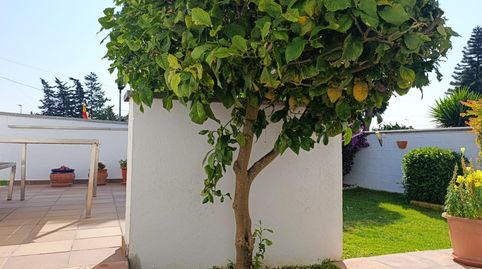 Photo 4 of Houses for sale in La Barrosa, Chiclana de la Frontera