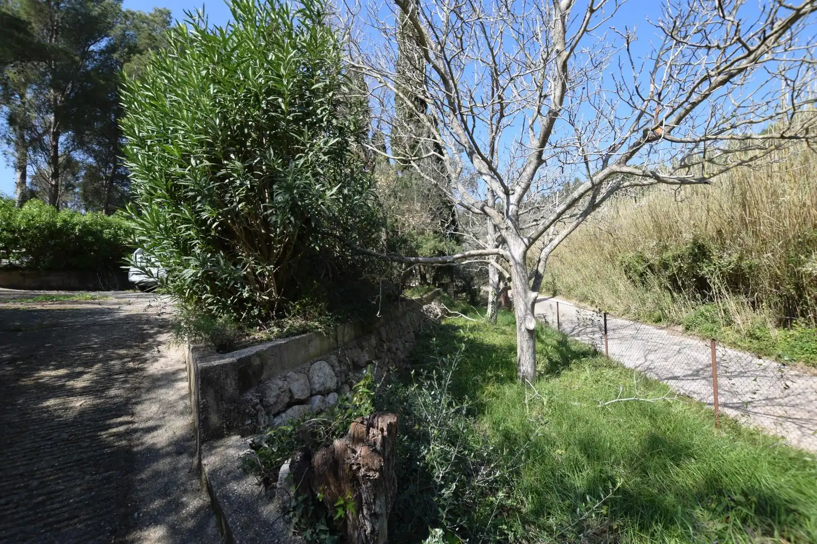 Jardí de Casa o xalet en venda en Alfara de Carles amb Terrassa, Traster i Piscina
