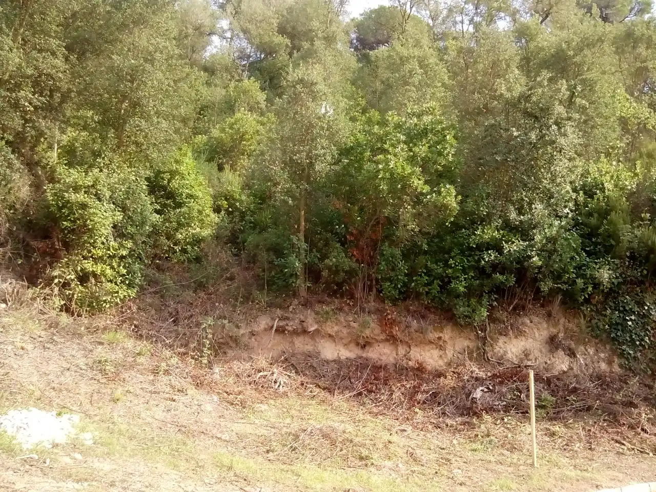 Grundstücke und Bauplätze zum Verkauf in Carrer Pollancre, imagen 9