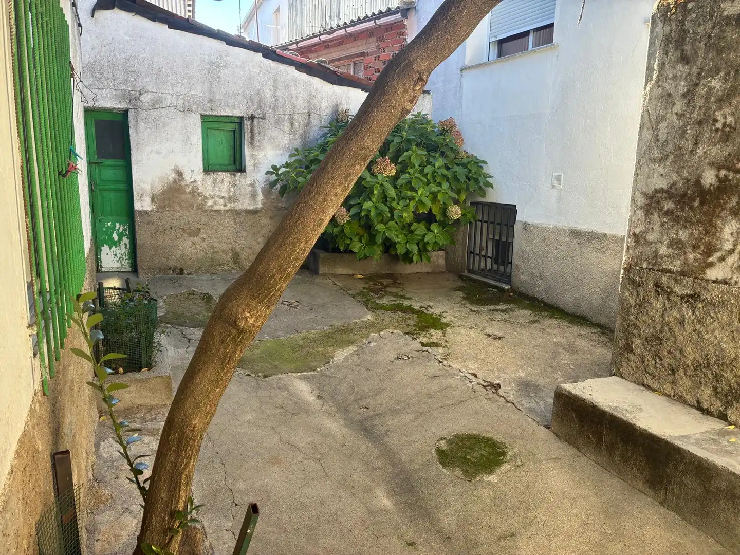 Garden of Houses for sale in Piornal  with Furnished
