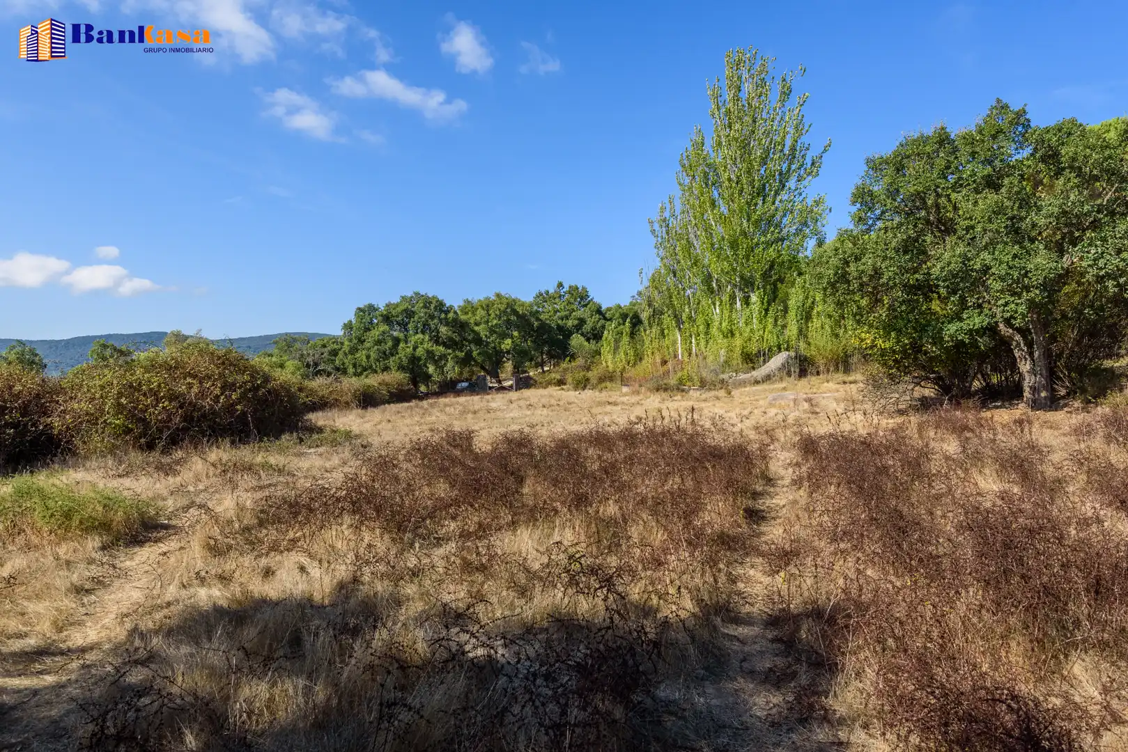 Casa o xalet en venda en Cortes de la Frontera amb Calefacció, Jardí privat i Moblat