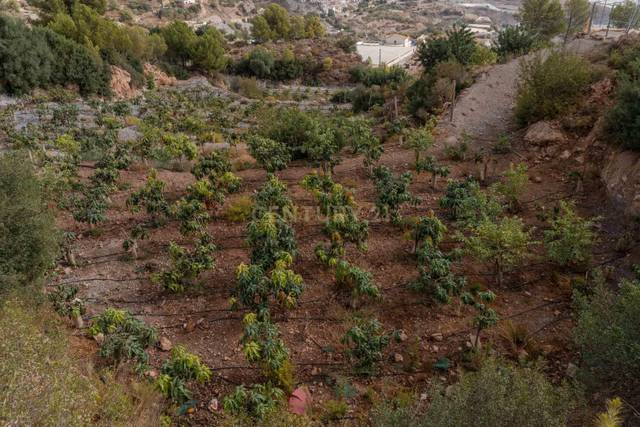 Terreno en Venta en PHPX+WF Gualchos, Spain, -1 en Gualchos pueblo