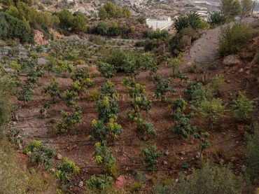 Rustikales Grundstück zum Verkauf in PHPX+WF Gualchos, Spain