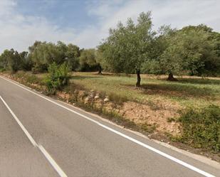 Terreny en venda en Sant Mateu