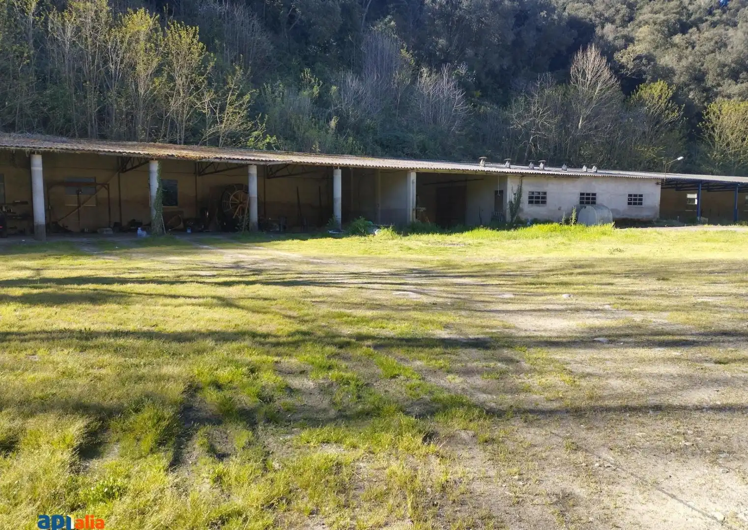 Vista exterior de Finca rústica en venta en Massanes