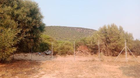 Photo 4 of Residential for sale in Los Caños de Meca, Cádiz