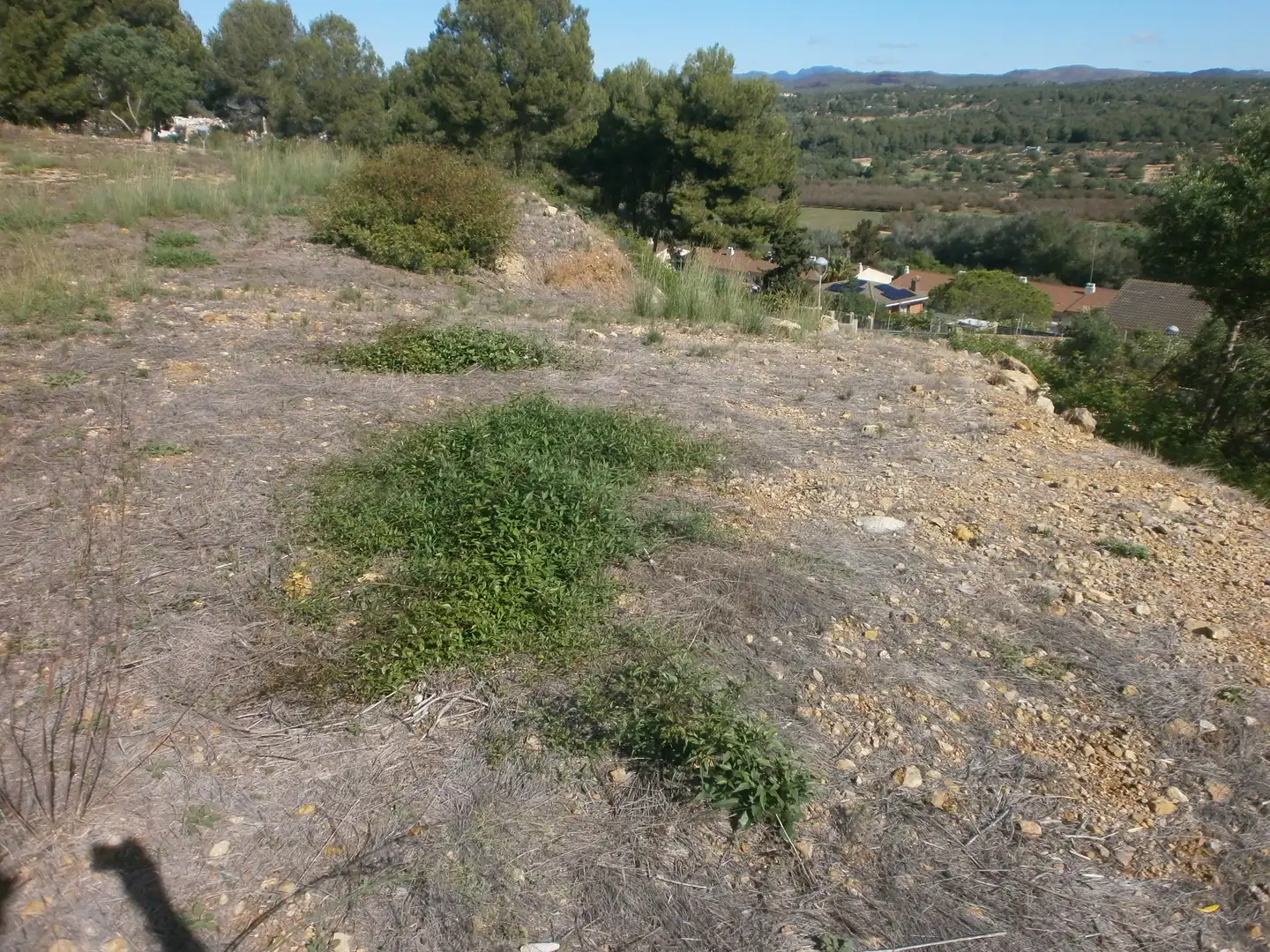 Terreny residencial en venda a Carrer del Mar, imagen 5