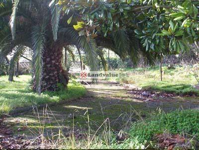 Terreno residencial en Venta en Santo Domingo, 4 en El Carbayedo - El Quirinal