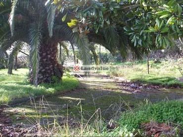 Lands and plots for sale in Santo Domingo 4