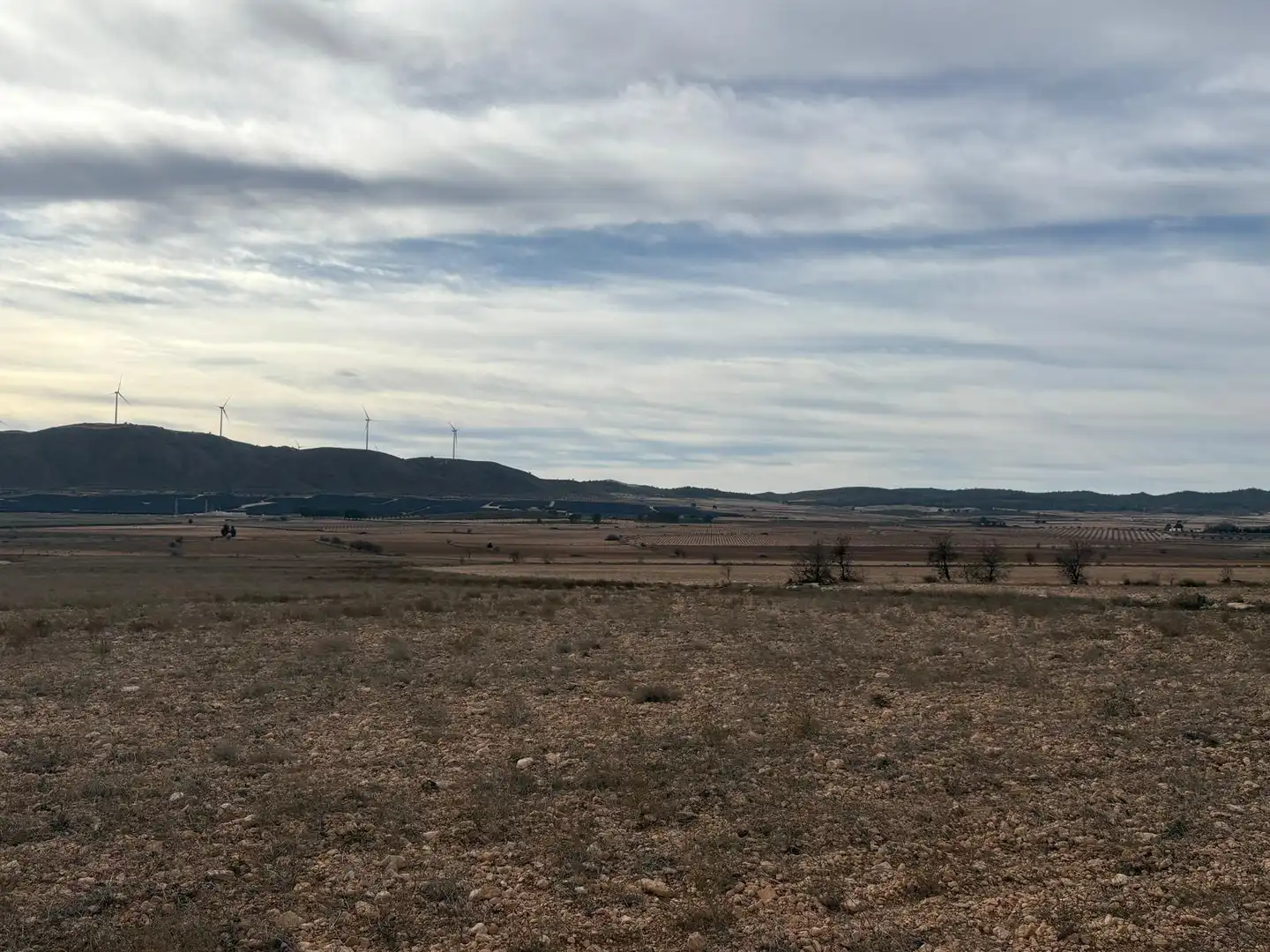 Finca rústica en venta en Ontur