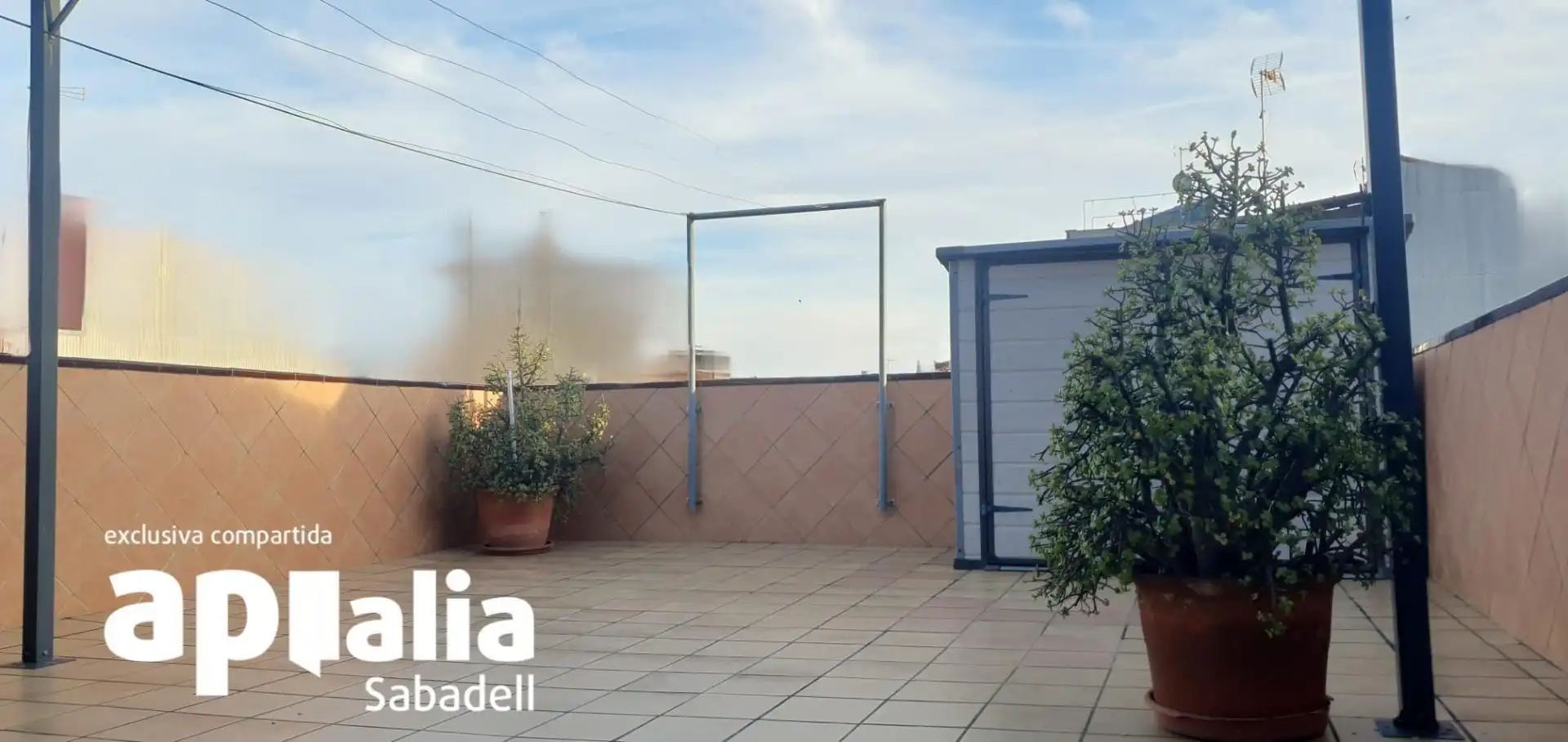 Maison avec terrasse à vendre à Calle SALVADOR SEGUI NOI SUCRE, imagen 12