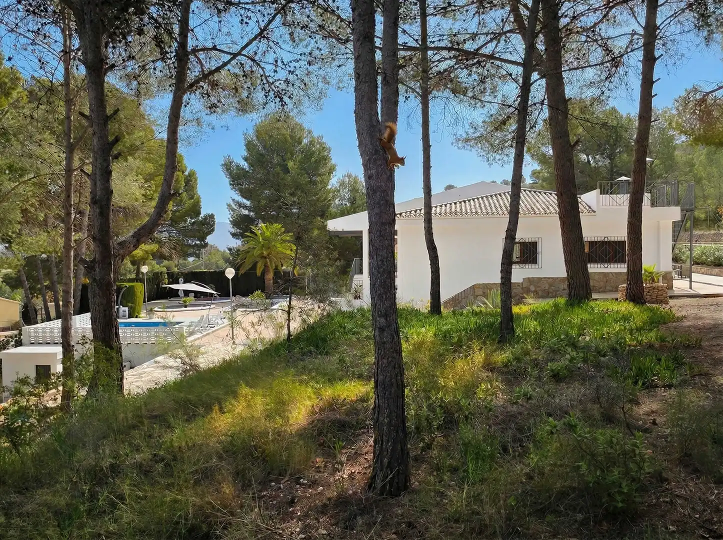Vista exterior de Casa o chalet en venta en Monóvar  / Monòver con Terraza