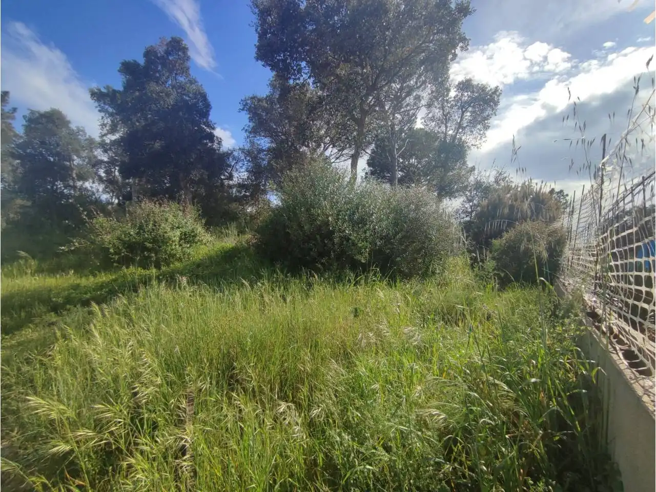 Terreny residencial en venda a Calle Pla de l´Estany, imagen 25