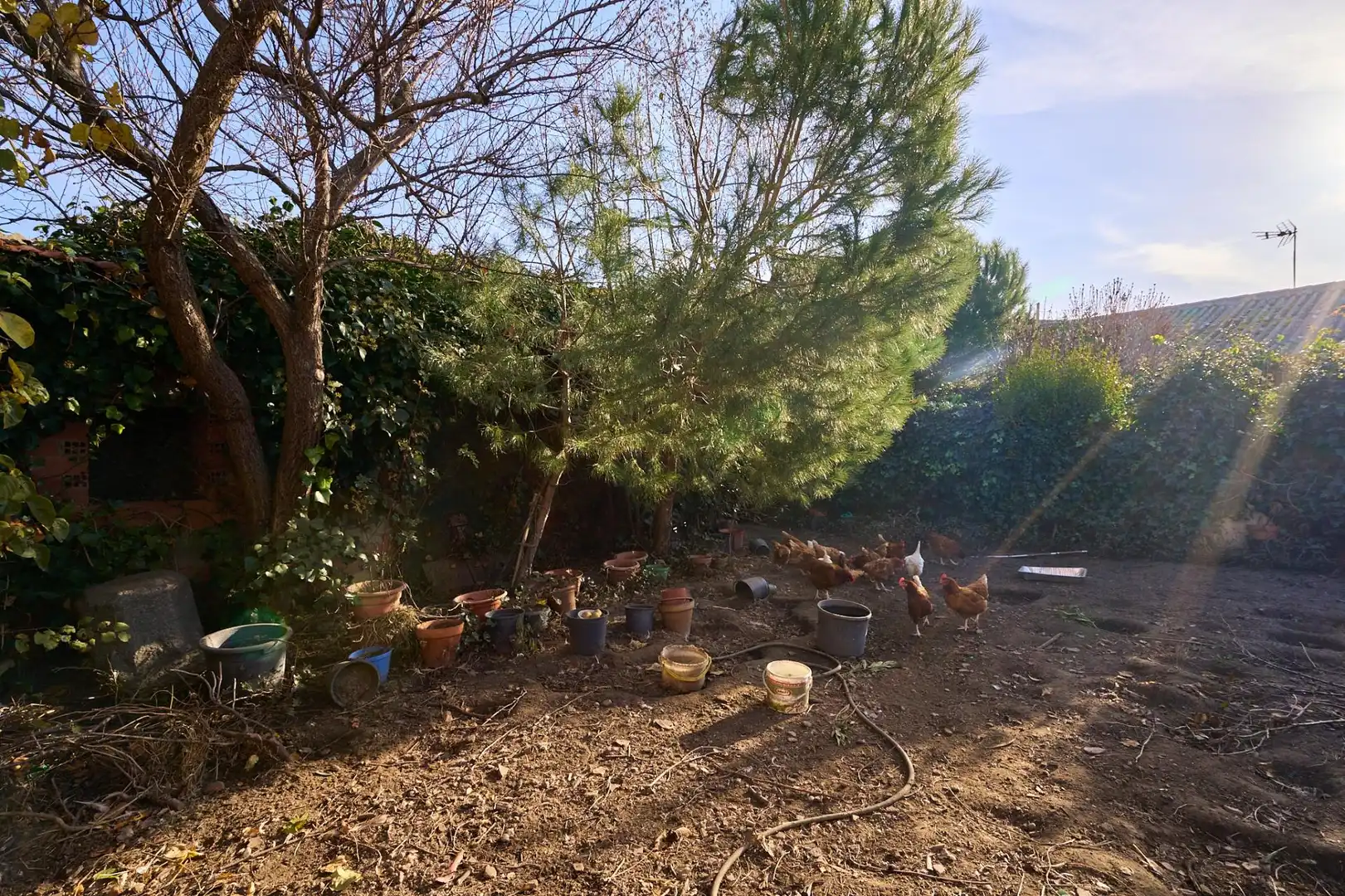 Finca rústica en venta en La Maya  con Jardín privado, Terraza y Trastero
