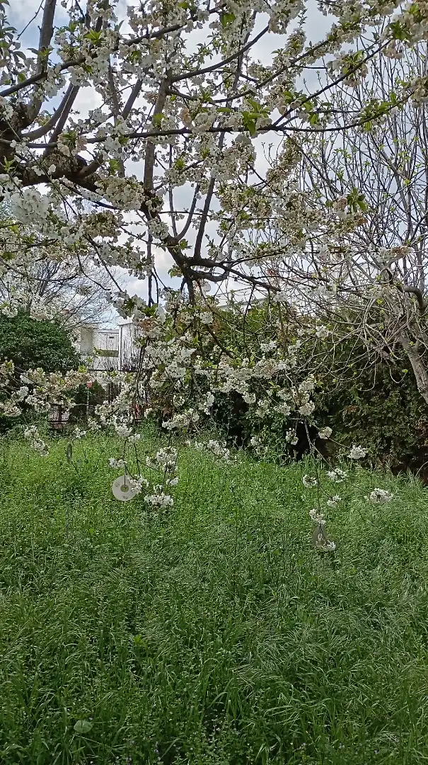 Casa o xalet en venda en Jerez de los Caballeros amb Jardí privat, Terrassa i Traster