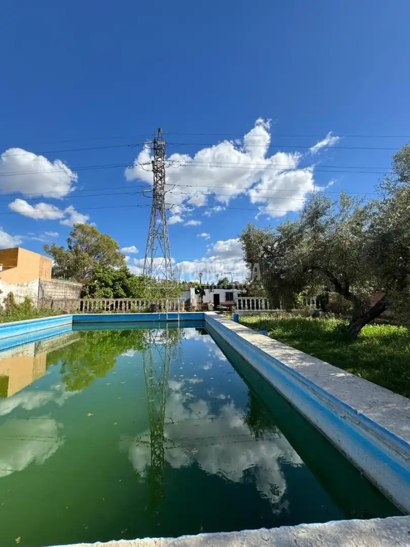 Swimming pool of Country homes for sale in Dos Hermanas