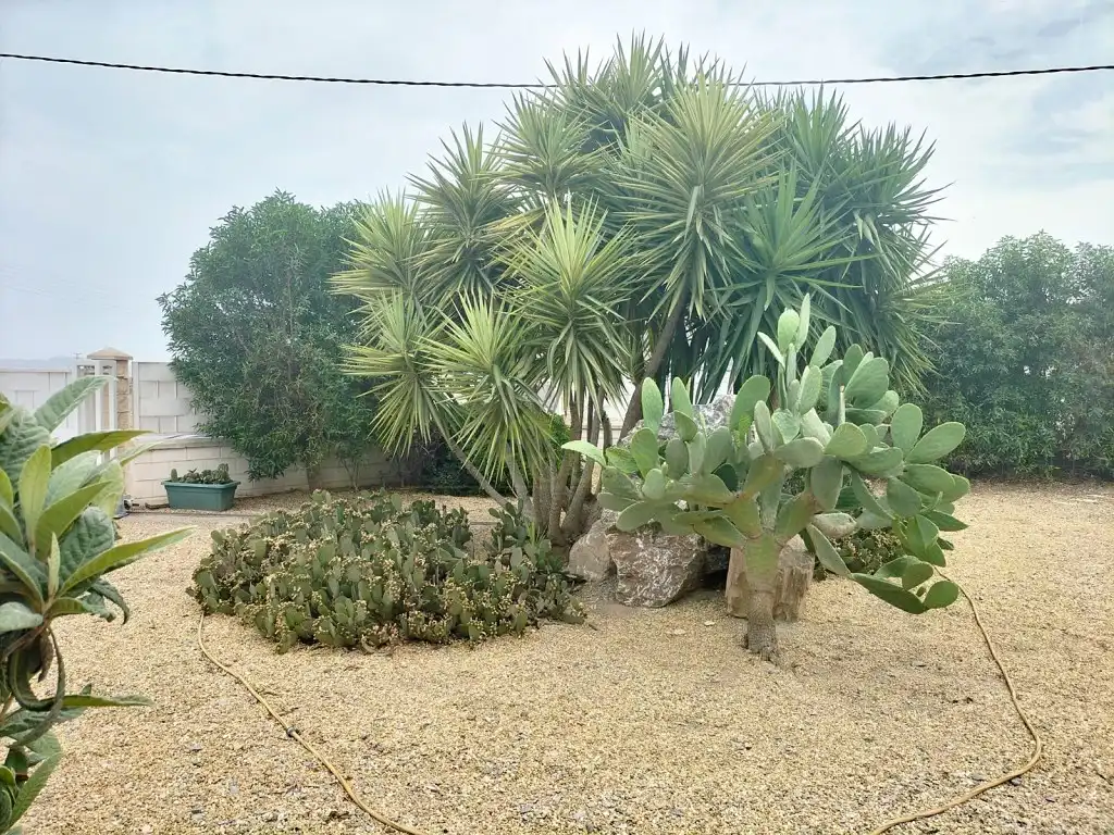 Casa en venta en Poligono 7 Paraje 137 La Ermita, imagen 67
