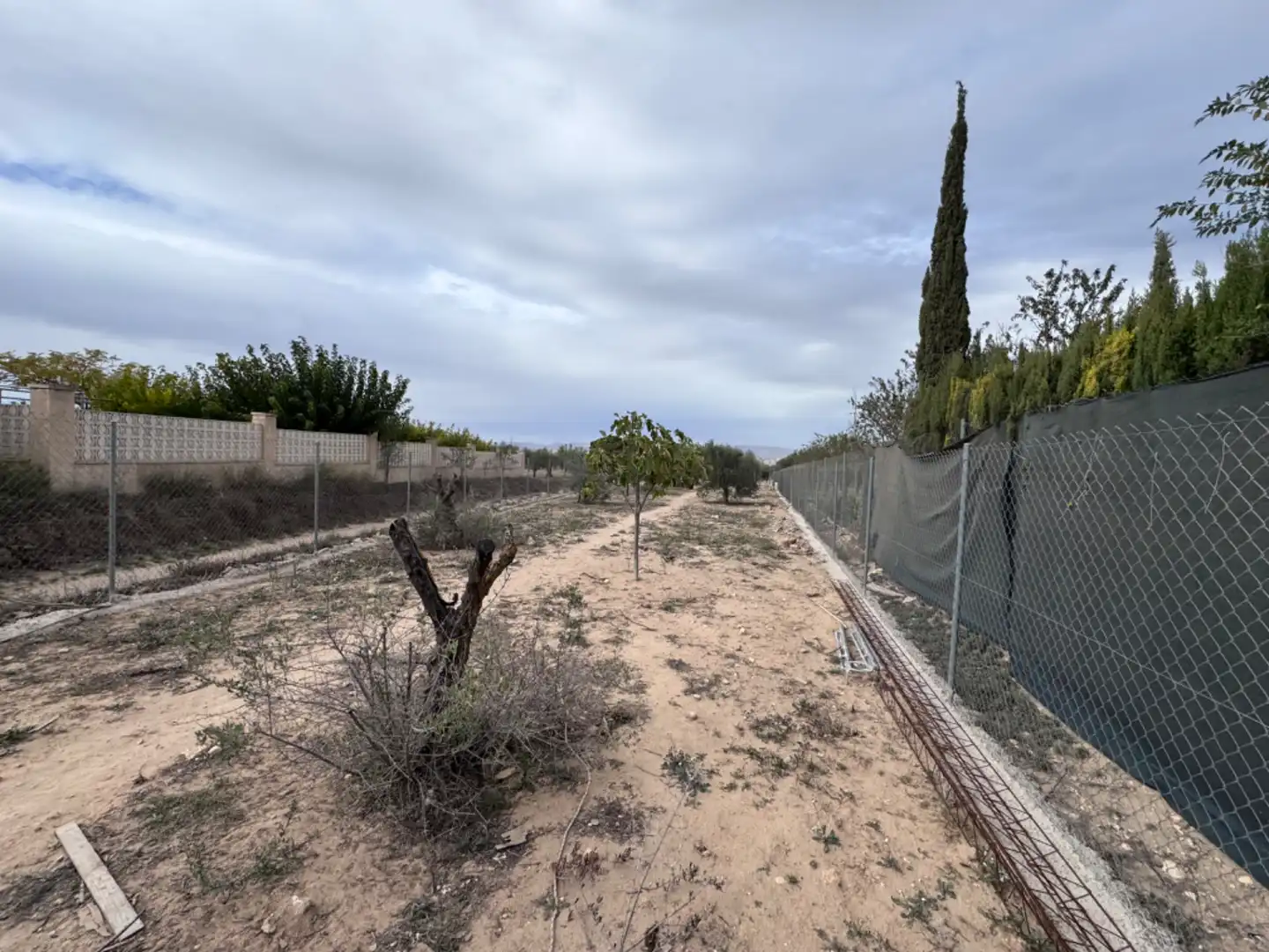 Terreno rústico en venta en Peña Rubia, imagen 2