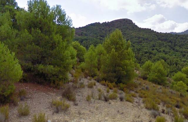 Terreno en Venta en Puntarrón