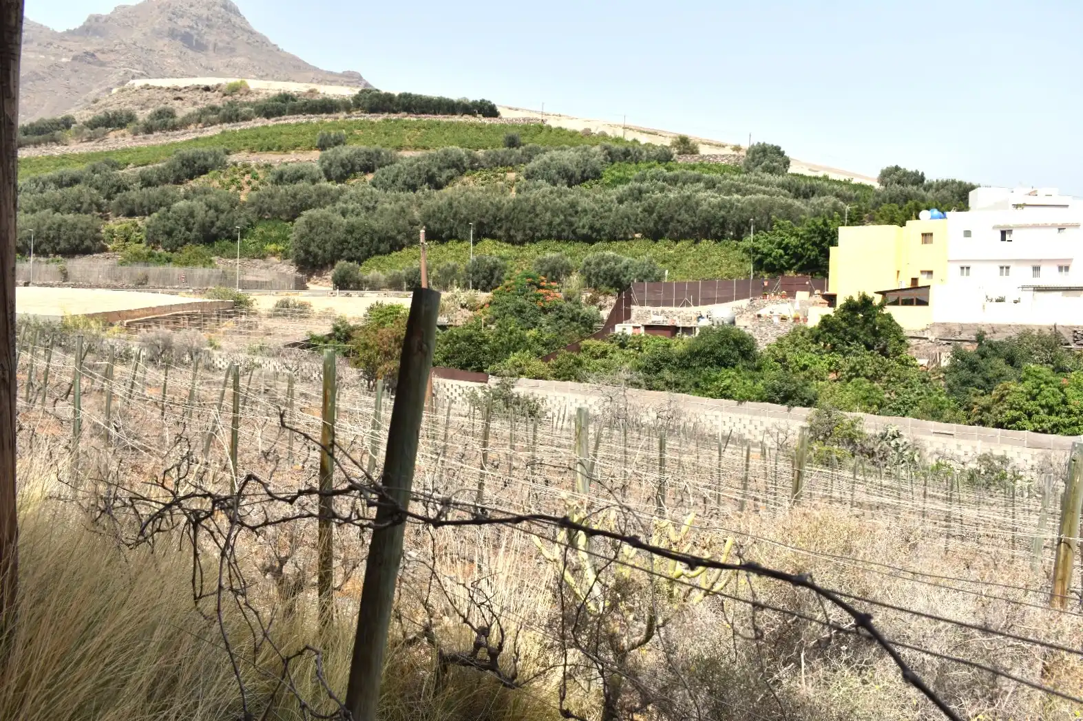 Vista exterior de Casa o xalet en venda en La Aldea de San Nicolás  amb Jardí privat, Terrassa i Piscina