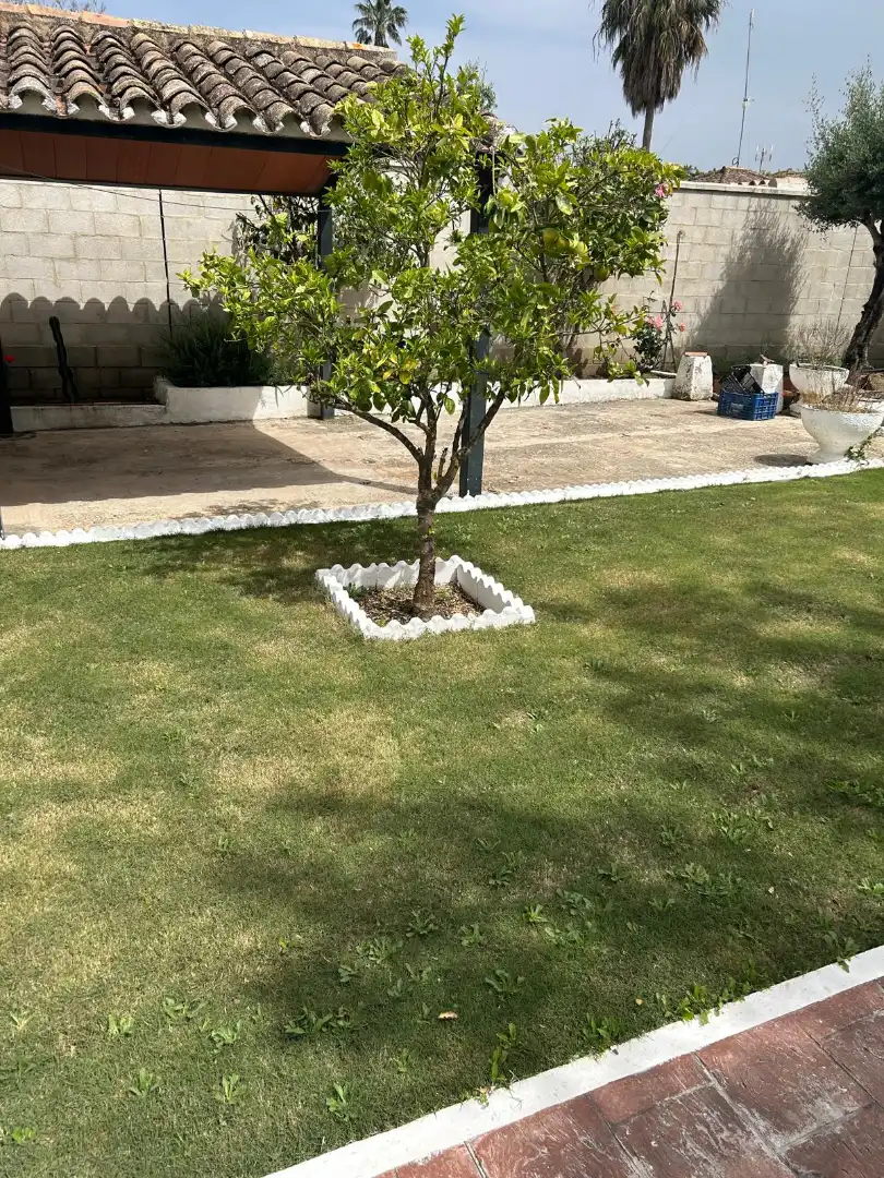 Chalet con piscina en venta en Arcos de la Frontera, imagen 10