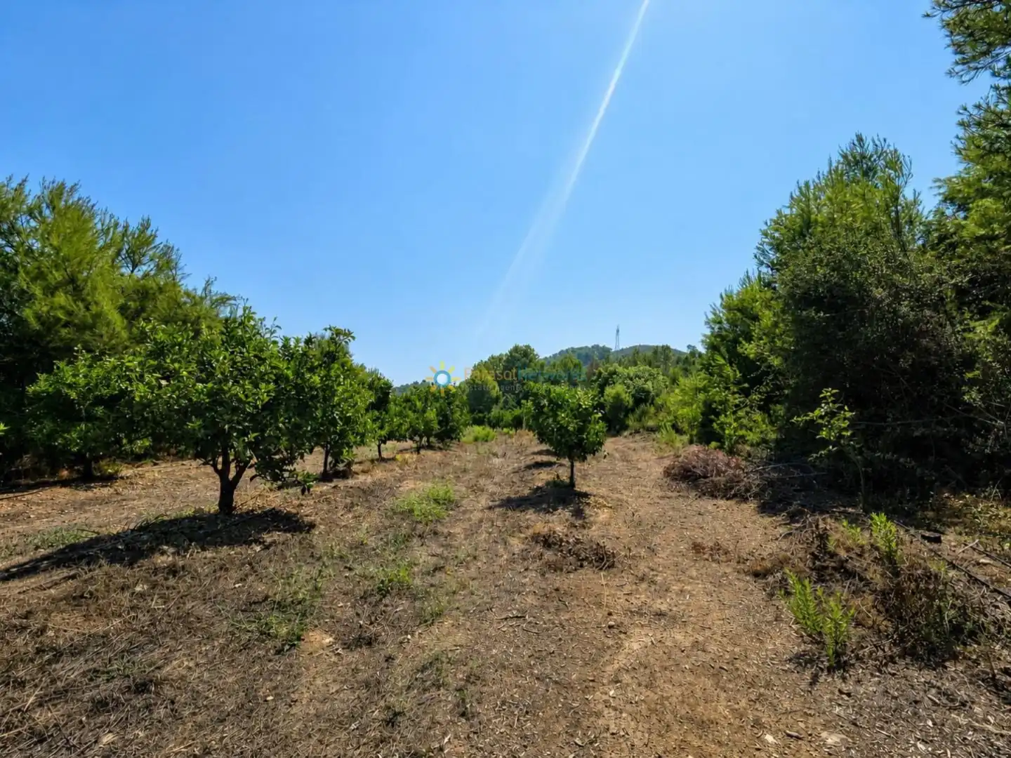 Finca rústica en venda en Sellent amb Terrassa, Traster i Piscina