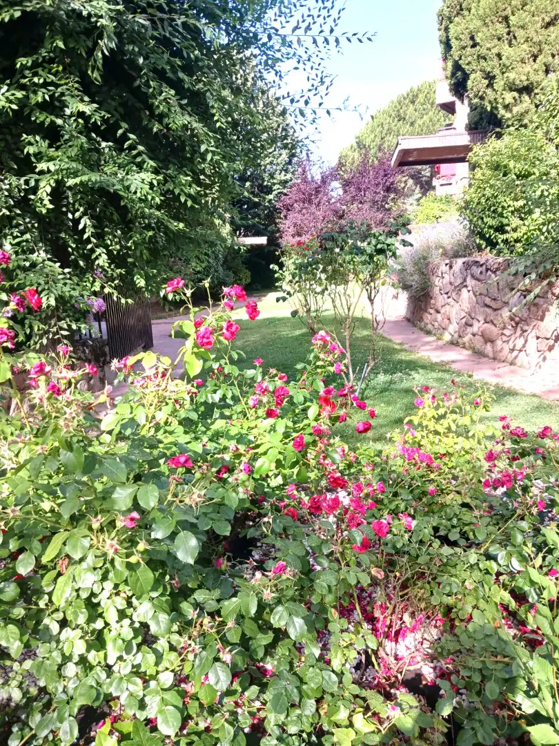 Garden of Attic for sale in Alpedrete  with Parquet flooring, Terrace and Community pool