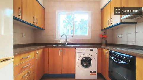 Photo 4 of Apartment to share in Roca Llisa, Illes Balears