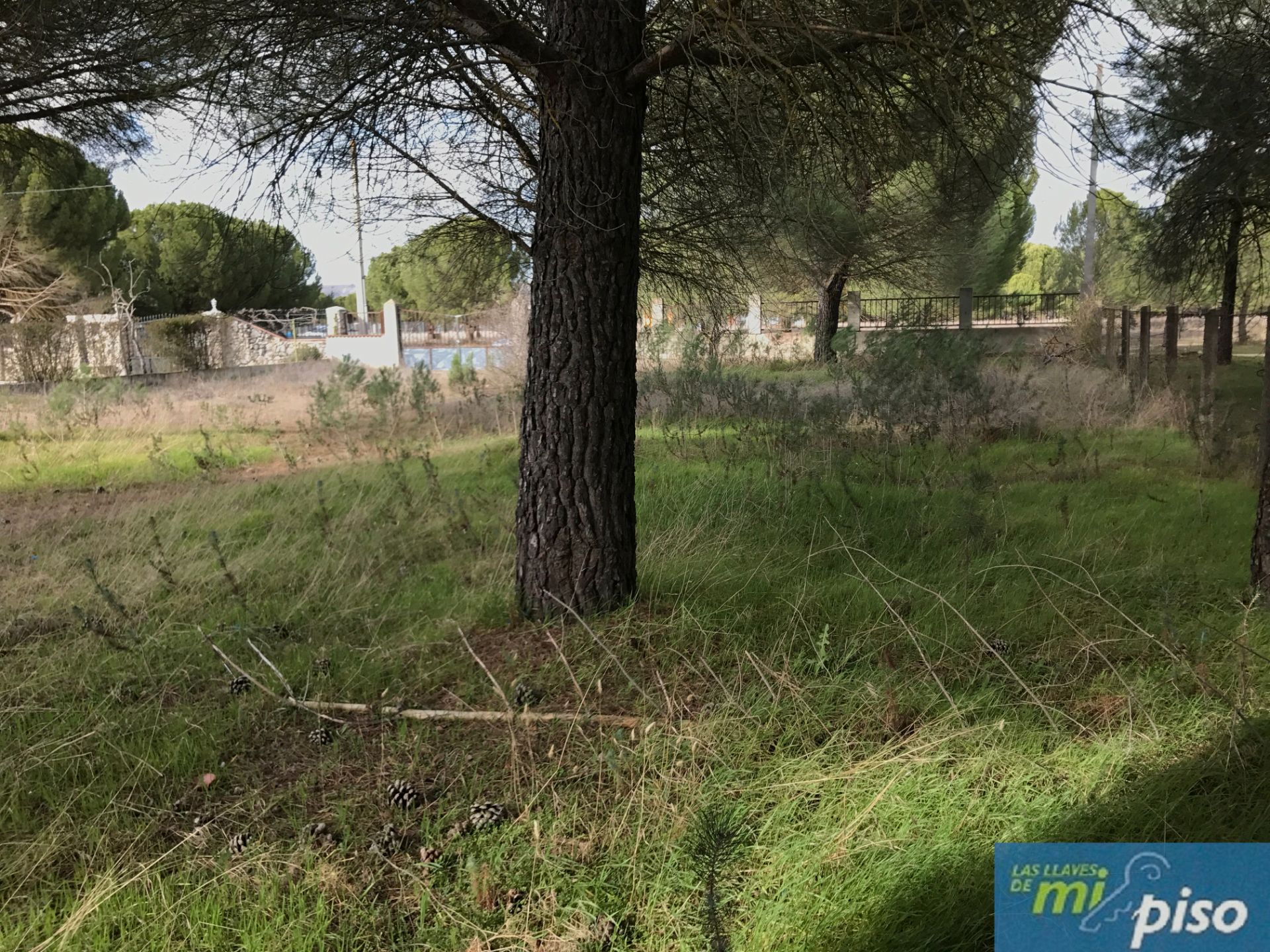 Casa o chalet en venta en Traspinedo con Jardín privado, Terraza y Trastero
