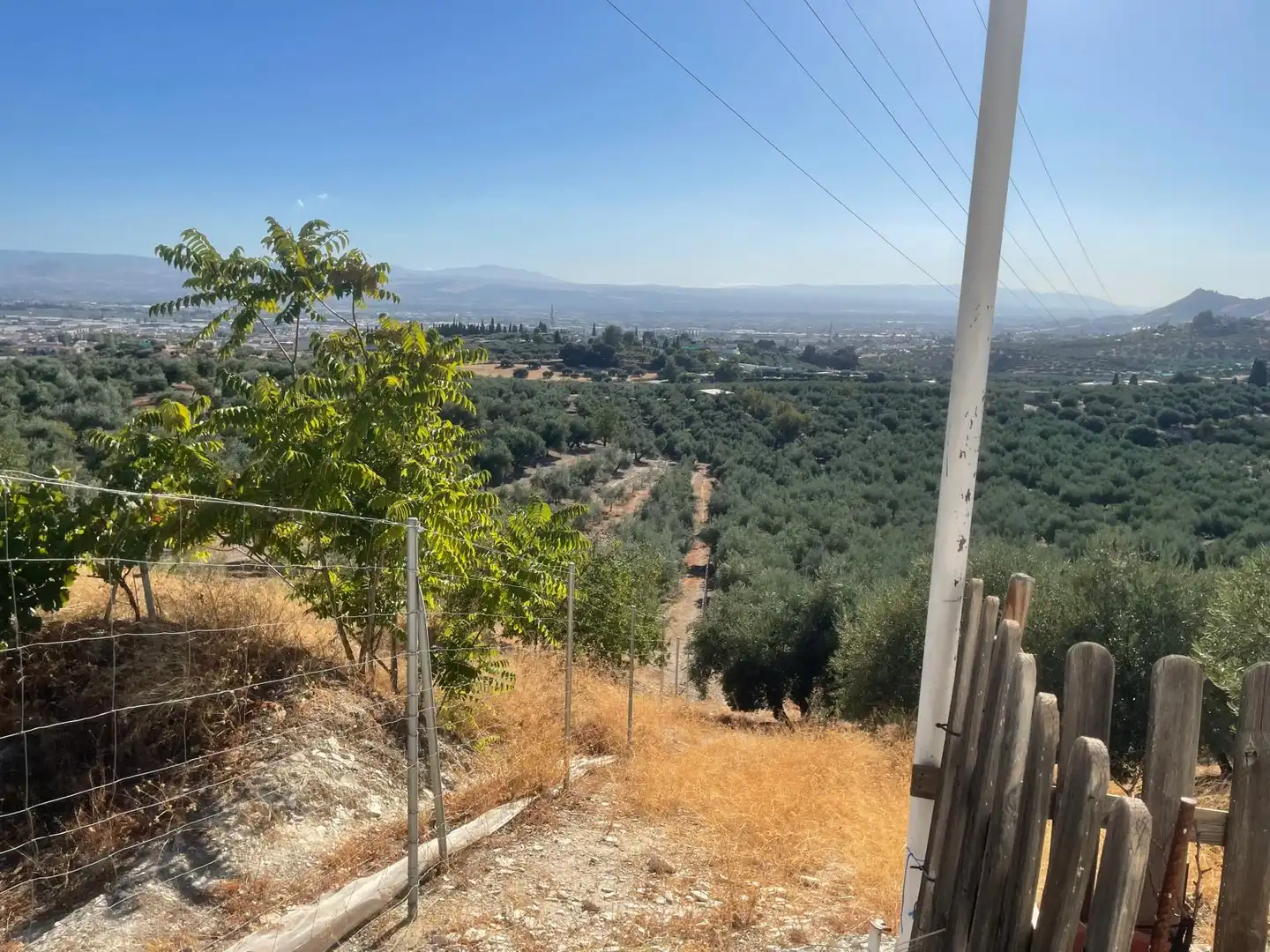 Terreno rustico in vendita a Peligros, imagen 11