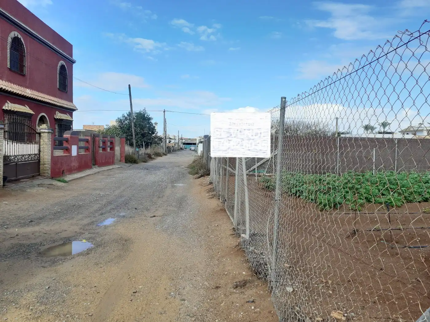 Terreno rustico in vendita a La Laguna, imagen 2