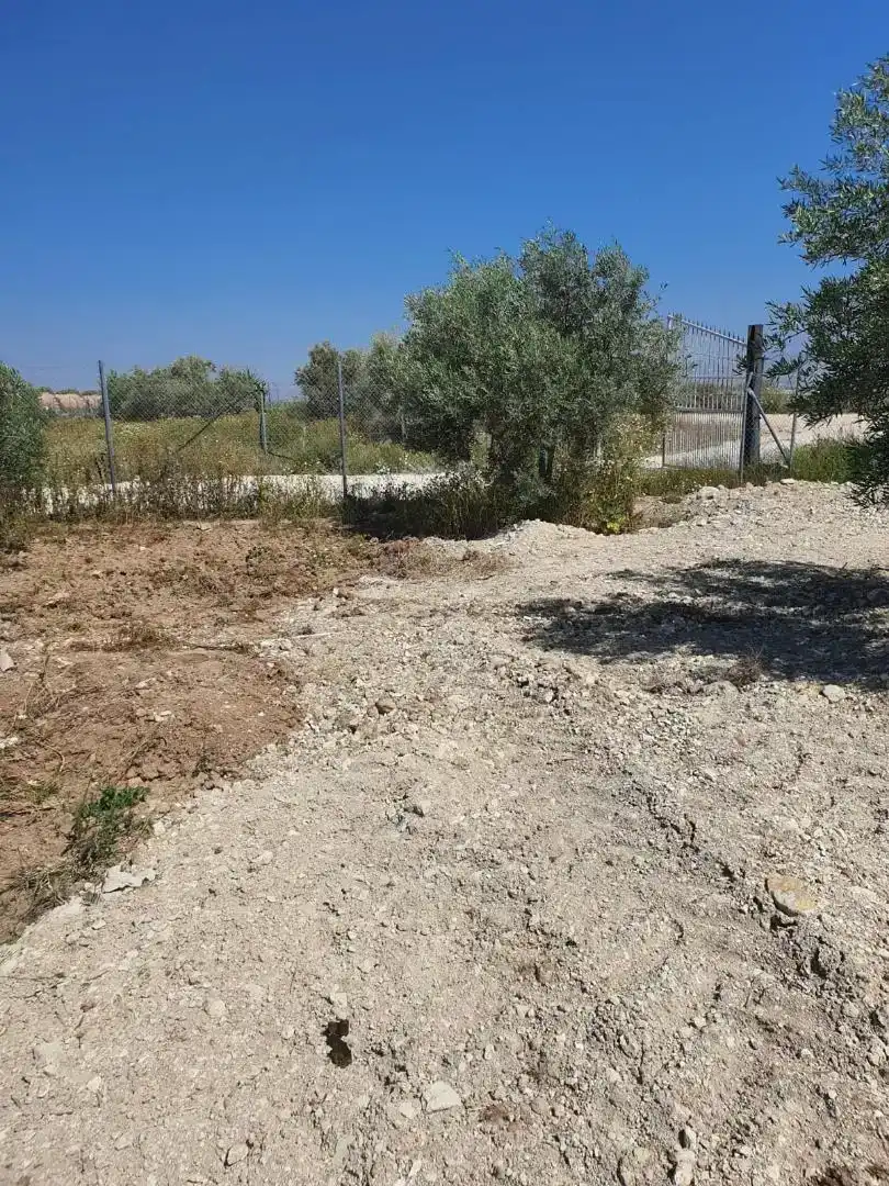 Terreno en venta en Osuna